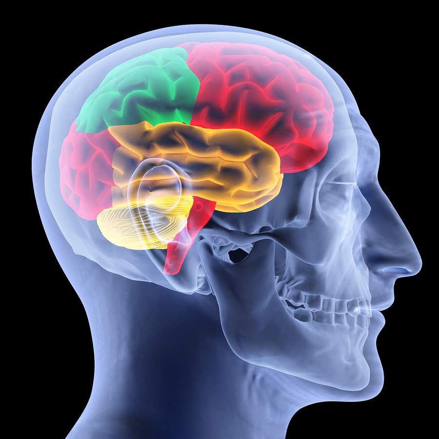 Coup and Contrecoup Brain Injury